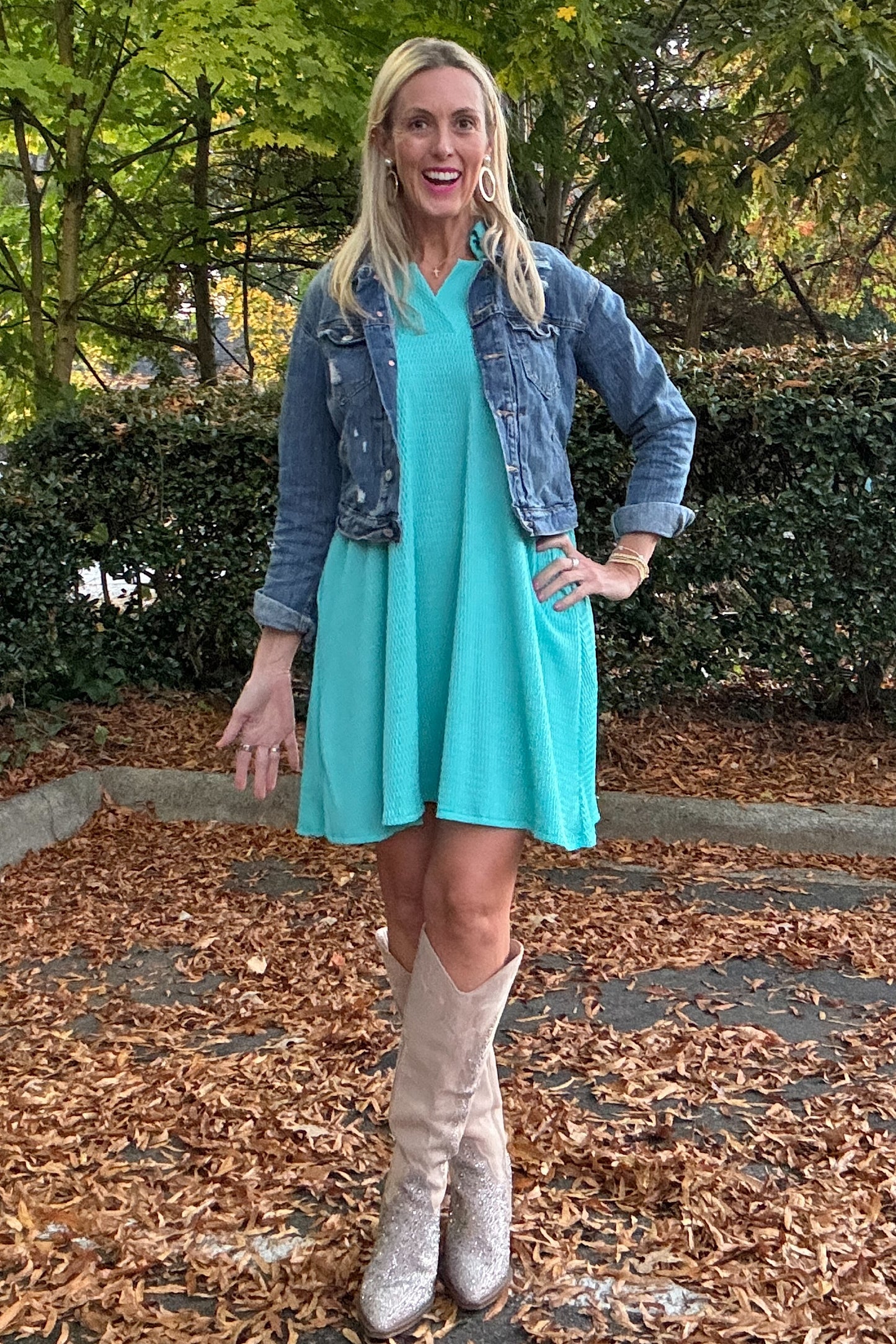 Mint A-Line Collared Dress