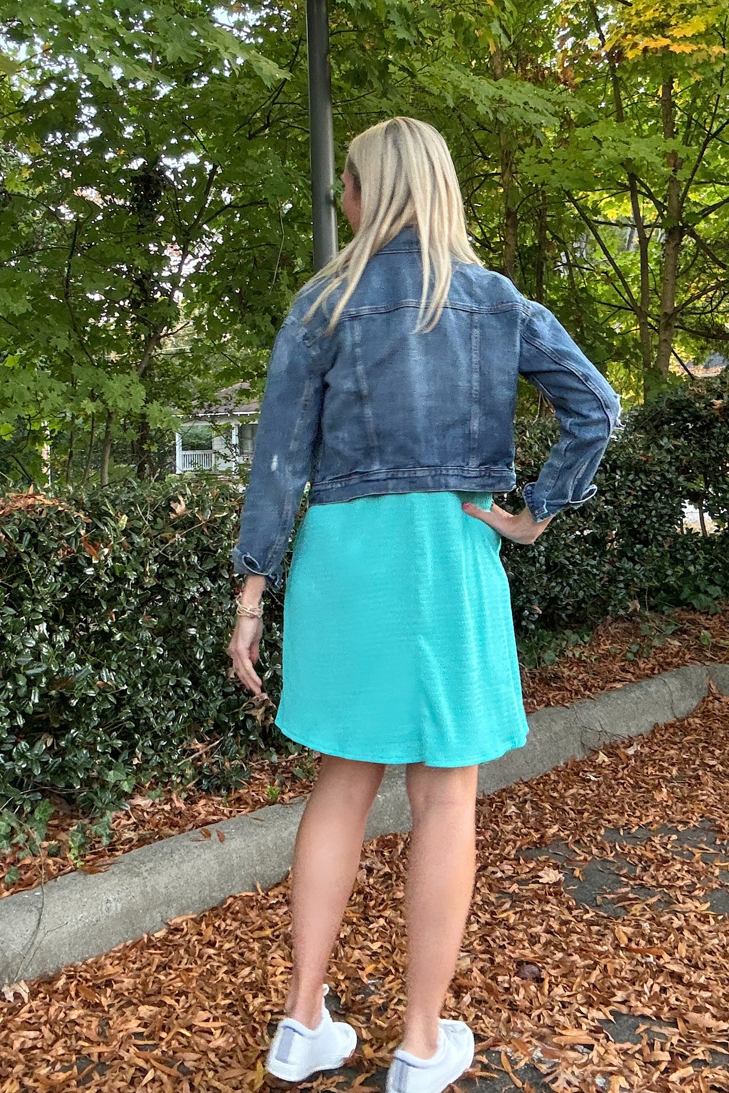 Mint A-Line Collared Dress