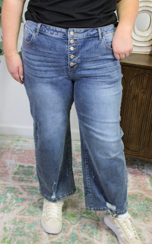 Plus Size Straight Jeans LT